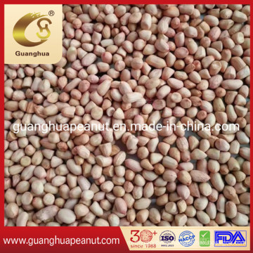 Export Quality Jumbo Peanut Kernels with Factory Price